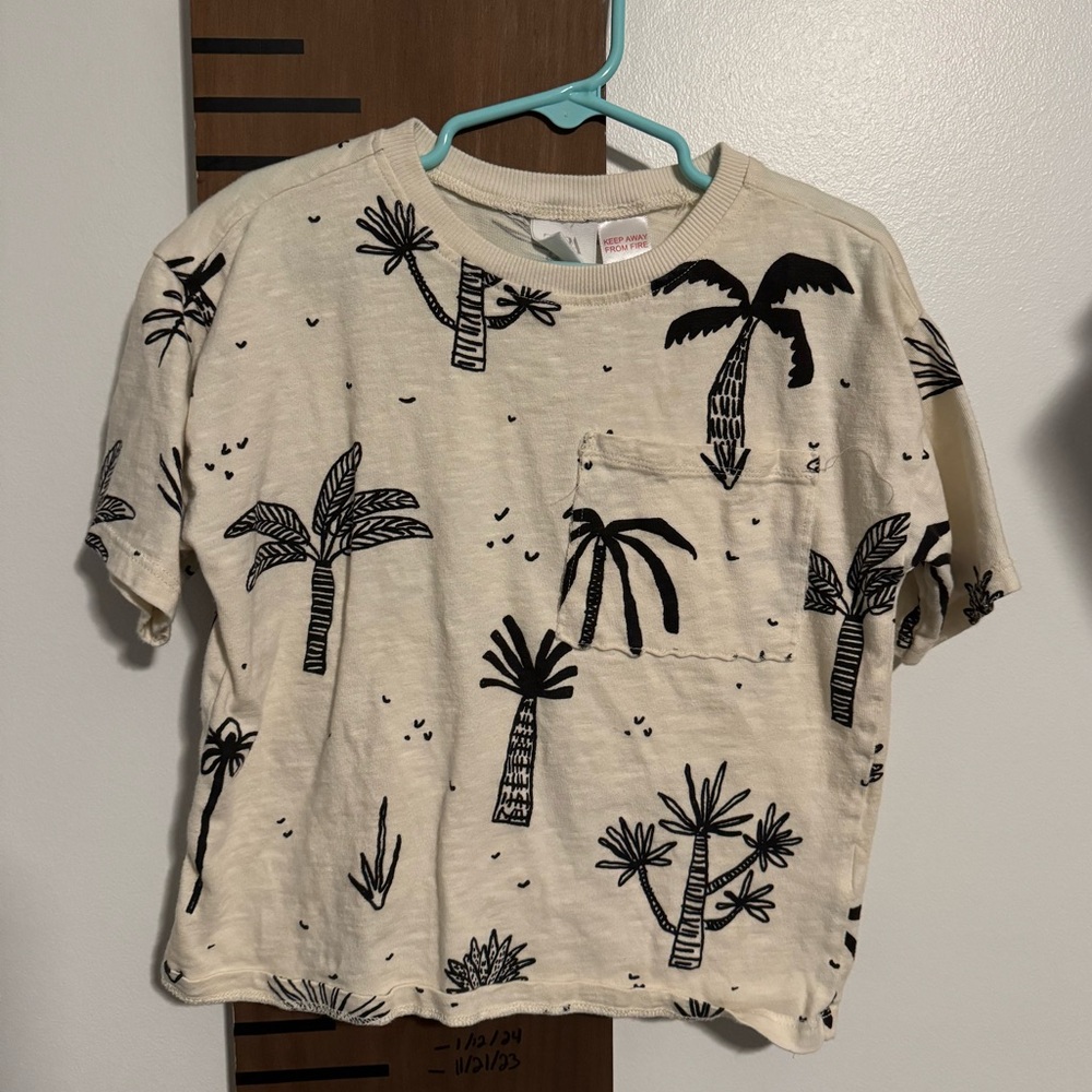 Boys Zara tee